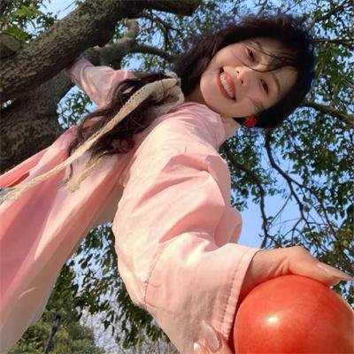 不死鸟之恋